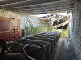 many barrels that are lined up in a room