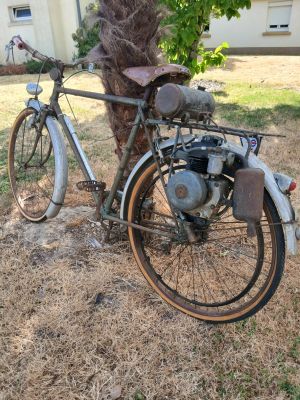 a old bike parked next to a tree in the yard