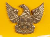 an image of a yellow plate with a silver eagle on it