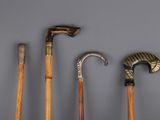 several different types of walking canes are lined up against a gray background