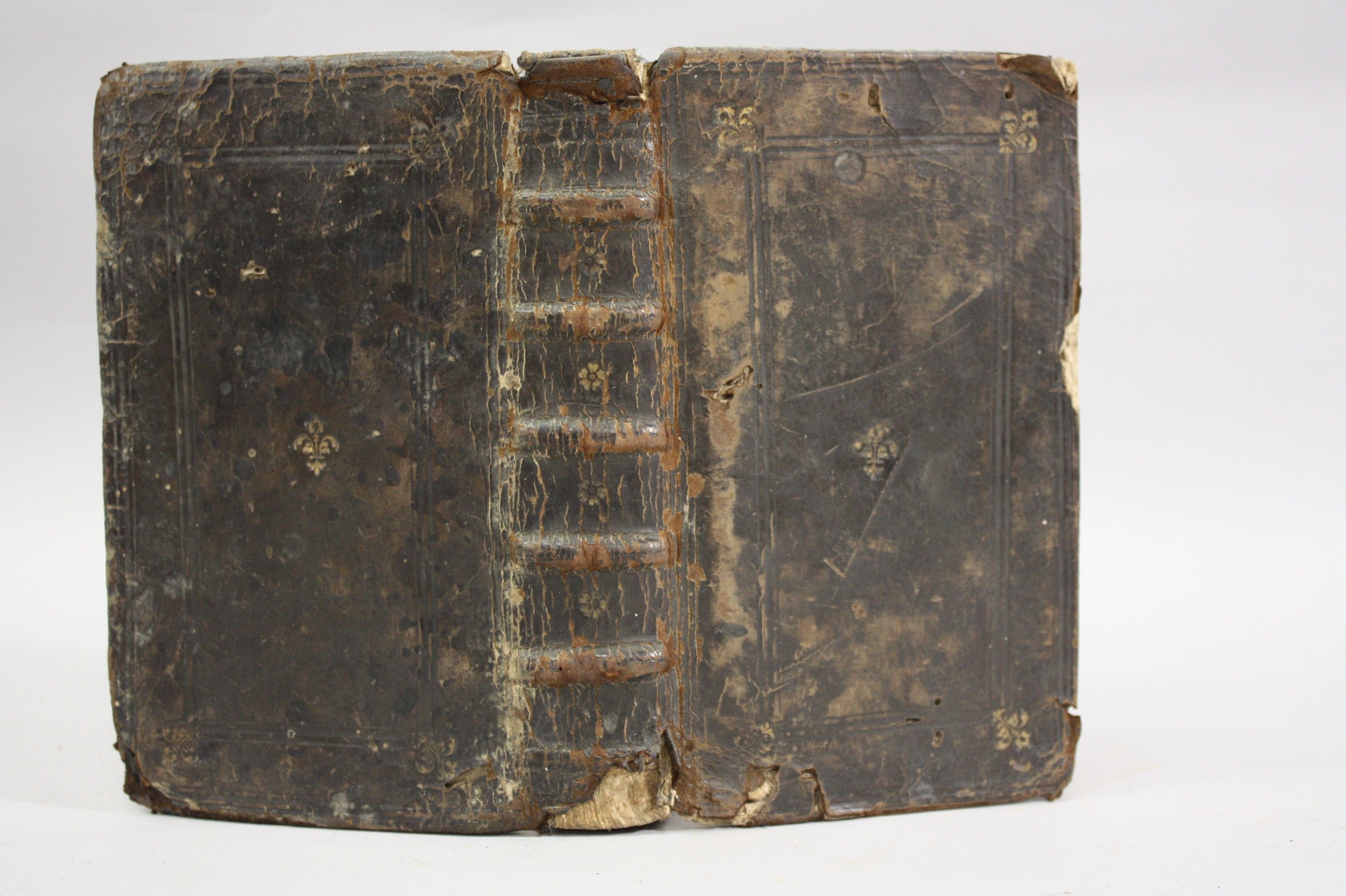 Objets d'art & Curiosités