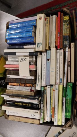 Lot de livres sur la littérature.