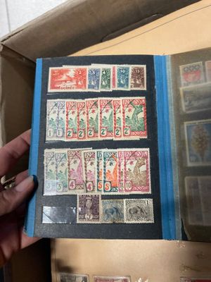 Quelqu'un tient un livre sur lequel sont collés plusieurs timbres.
