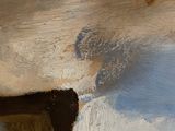 a close up of a painting of a horse in a field