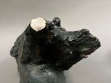 a statue of a bear that is sitting in the water