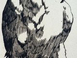 a black and white drawing of a bird sitting on a branch
