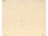an image of a painting of a bird in the middle of a white background