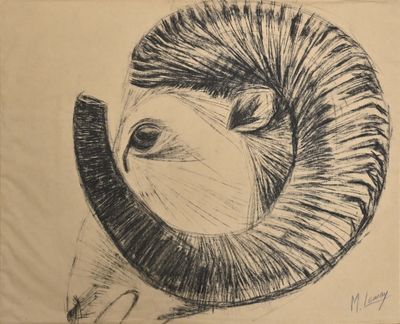 drawing of a ram ' s head on a piece of paper