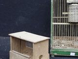 a small bird in a cage next to a small bird in a cage