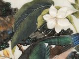 a painting of a bird sitting on a branch of a tree