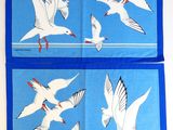 deux oiseaux bleus et blancs volant dans le ciel sur un fond bleu