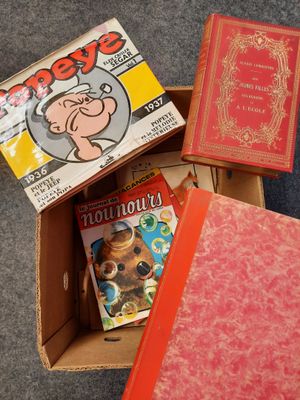 trois livres dans une boîte posée par terre, les uns à côté des autres