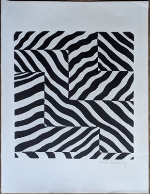 black and white zebra print on white paper with a wooden frame