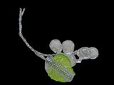 a close up of a necklace with a tennis ball on it