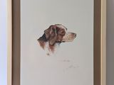 painting of a brown and white dog in a frame on a wall