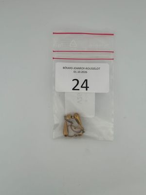 a plastic bag with a small metal object in it