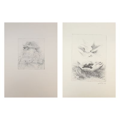 deux dessins en noir et blanc représentant des oiseaux survolant un plan d'eau