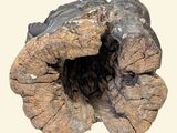 Photo 7/7 du lot