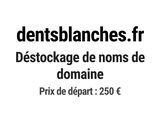 Photo 1/1 du lot