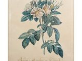 une peinture représentant une fleur blanche avec des feuilles vertes sur un fond beige
