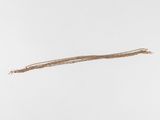 un long fil marron avec une longue queue sur une surface blanche