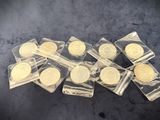 several gold coins are in plastic bags on a table