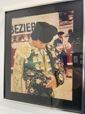 a picture of a man in a bull suit on a wall