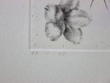 a picture of a drawing of a butterfly on the wall