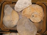 a box full of different types of bread on a table