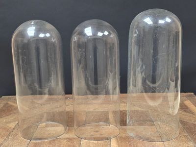 trois bouteilles en verre vides posées sur une table en bois