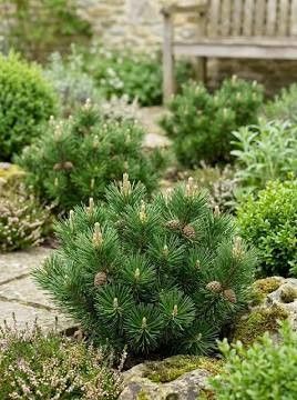 Destockage & Invendus