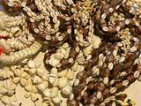 nuts, seeds, and seeds in a bag on a table