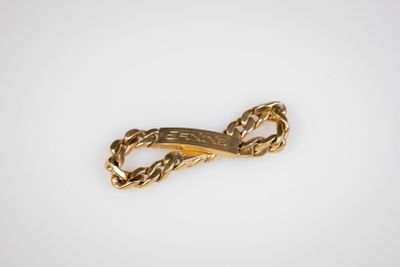 an image of a gold chain link on a white background