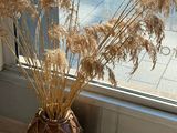 a vase with dried plants in front of a window