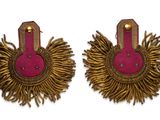 pair of pink and gold earrings with gold fringes on a white background