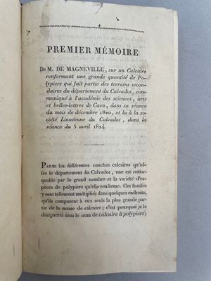 un livre ouvert à une page où figure l'image d'un chat