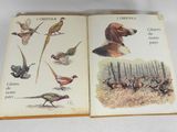 deux livres sur lesquels figurent des images d'oiseaux et de chiens