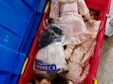 une poupée posée dans un bac en plastique, par terre
