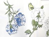 a drawing of flowers and a butterfly on the page