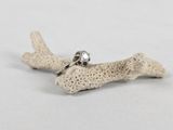 a close up of a silver ring on a piece of coral