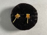 a close up of a pair of earrings on a white surface