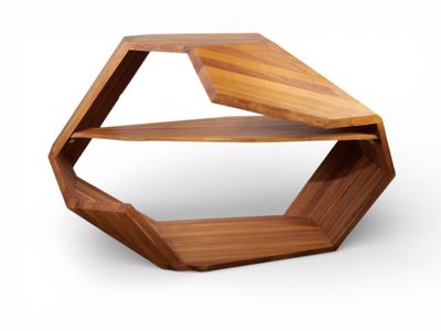 Nicolas CHAPO (1956) Bibliothèque de forme libre, circa 2000…