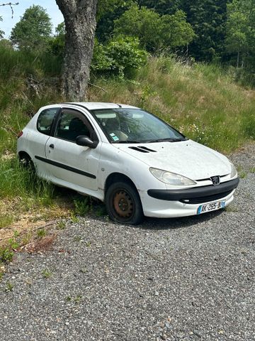 Véhicule utilitaire PEUGEOT 206 immatriculé AK-265-BX, 1ère mise 