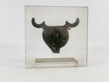 an image of a picture of a bull ' s head in a glass box