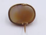 an image of a broochle with a gold frame
