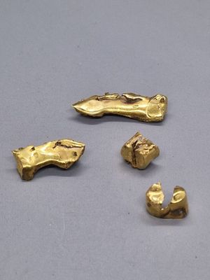 trois pièces d'or sont représentées sur une surface grise