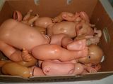 une boîte en carton remplie de poupées représentant des bébés