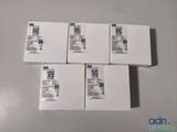 four boxes of white paper sitting on top of a table
