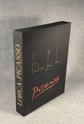 an image of a book with a picture of a baseball player on it