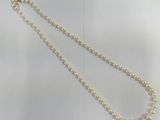 necklace with pearls and a gold clasp on a white background